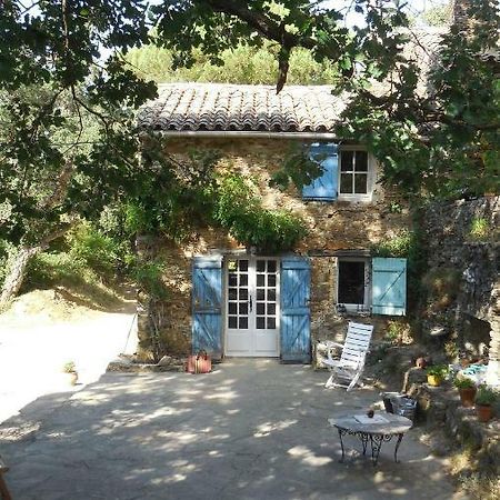 La Bergerie Villa La Garde-Freinet Bagian luar foto