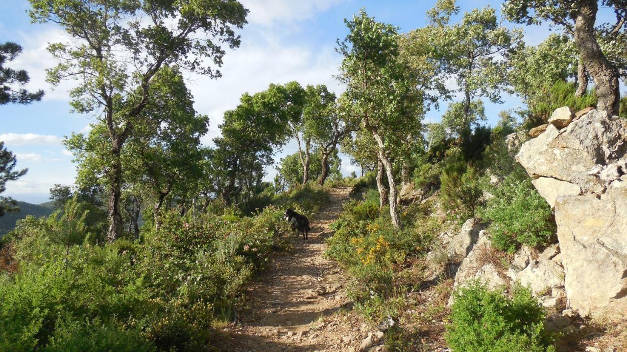 La Bergerie Villa La Garde-Freinet Bagian luar foto
