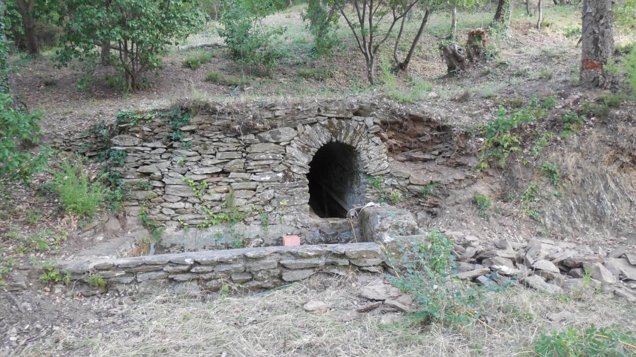 La Bergerie Villa La Garde-Freinet Bagian luar foto