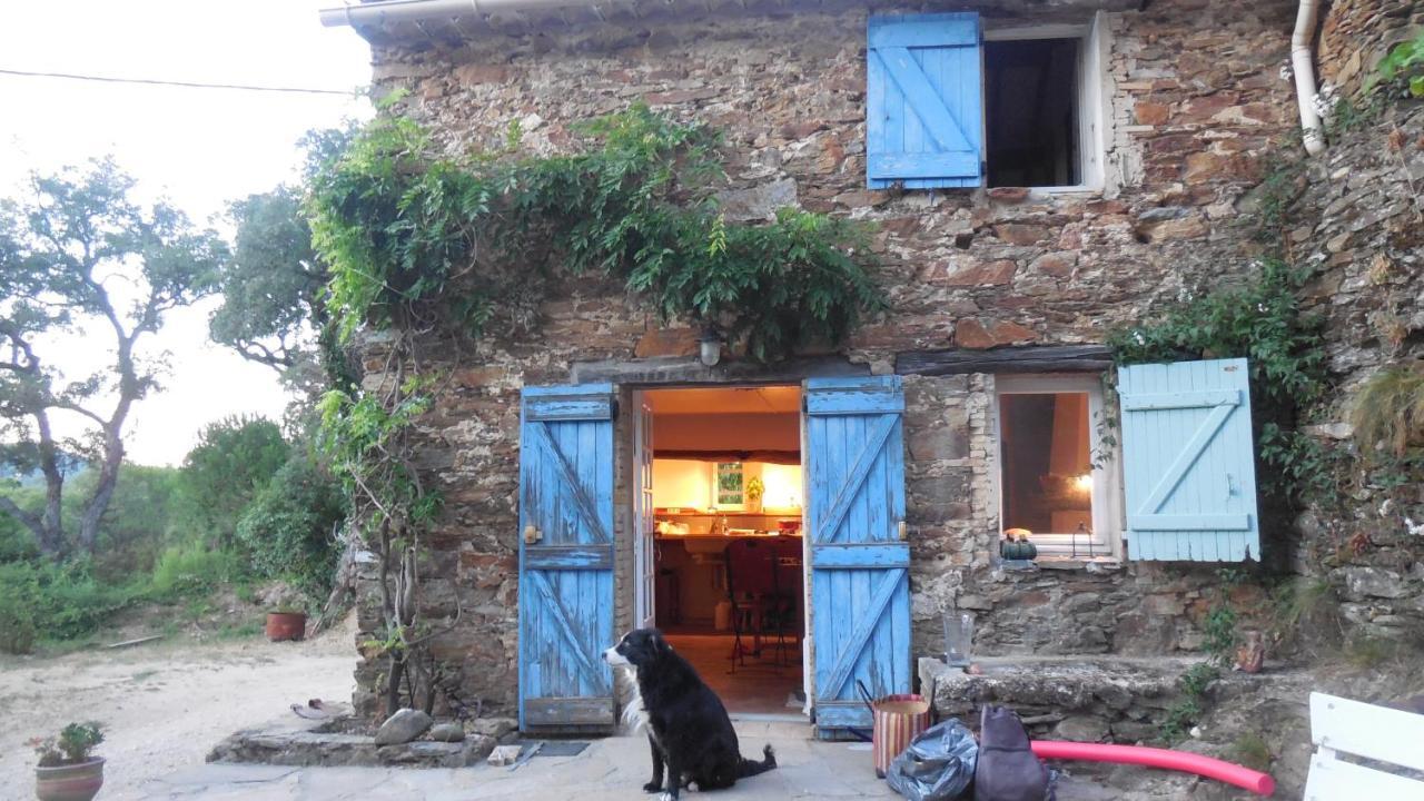La Bergerie Villa La Garde-Freinet Bagian luar foto